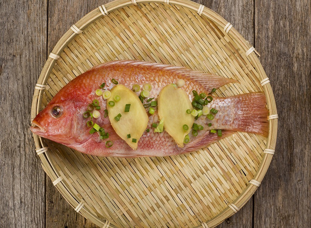 Red and Gray Snapper