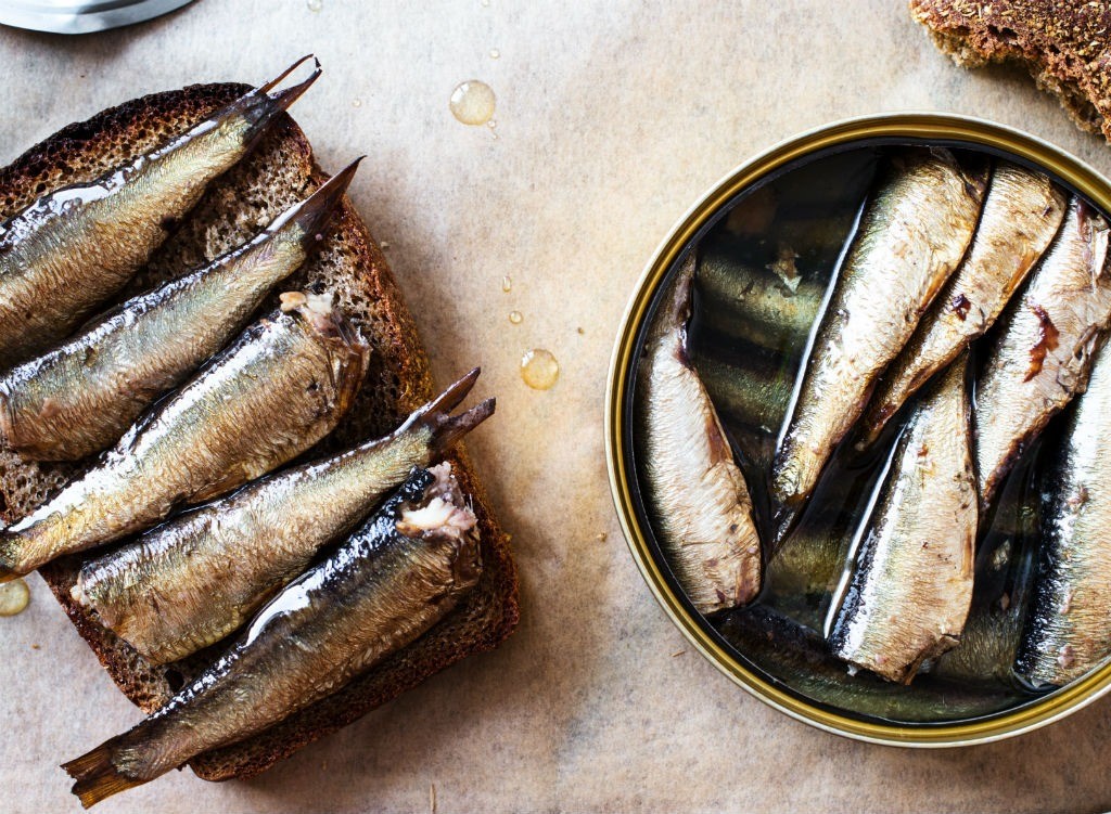 Canned Sardines in Oil